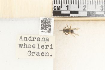 Media type: image;   Entomology 773304 Aspect: Labels